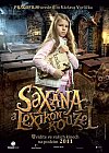 Saxana: La pequeña bruja y el libro encantado